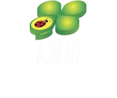 Lotería de La Rioja